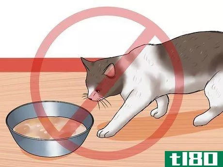 Image titled Encourage Your Cat to Go to Sleep Step 5