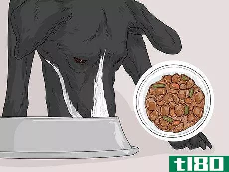 Image titled Feed a Sick Dog Step 6