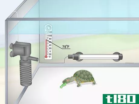 Image titled Feed a Red‐Eared Slider Turtle Step 11