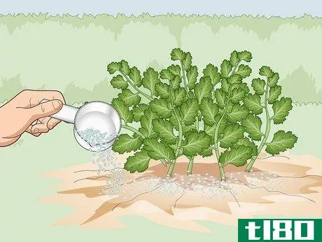Image titled Fertilize Herbs Step 4