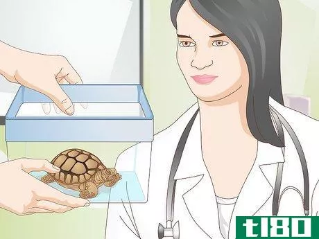 Image titled Diagnose Stomatitis in Tortoises Step 4