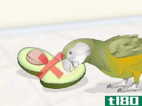 Image titled Feed a Senegal Parrot Step 14