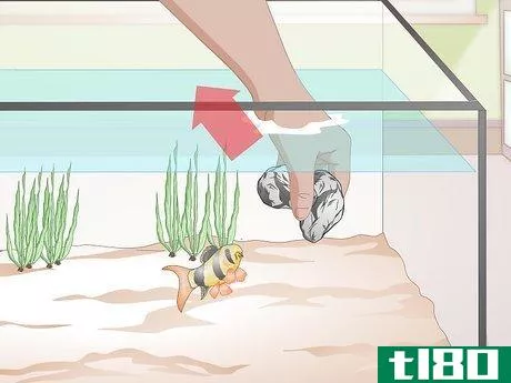 Image titled Do a Water Change in a Freshwater Aquarium Step 4