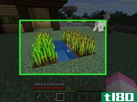 Image titled Farm Crops in Minecraft Step 6