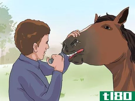Image titled Diagnose Heaves in Horses Step 5