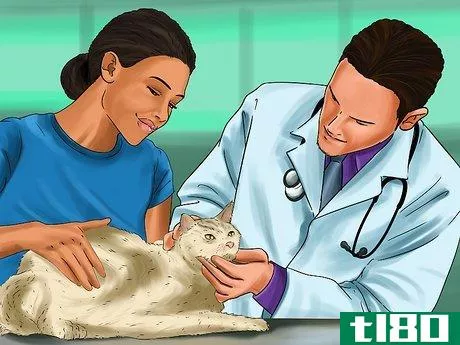 Image titled Diagnose and Treat Ruptured Eardrums in Cats Step 5