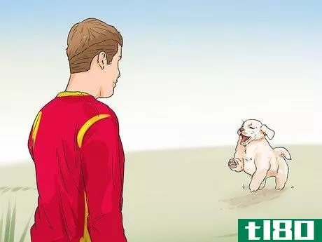 Image titled Exercise Your Puppy Step 1