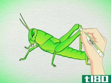 Image titled Draw a Grasshopper Step 5