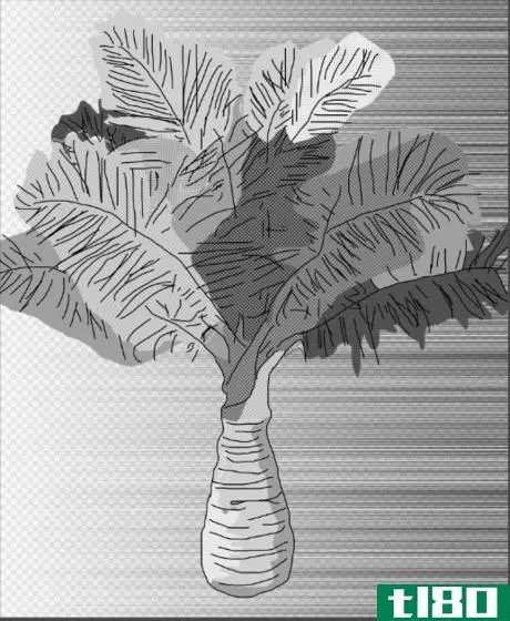 Image titled Draw Manga Plants step 28.png