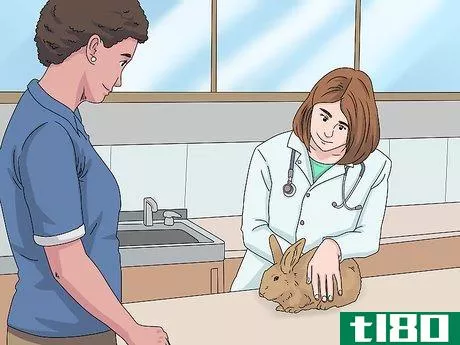 Image titled Determine the Sex of a Rabbit Step 10