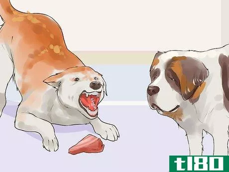 Image titled Gain Trust in an Aggressive Dog Step 9