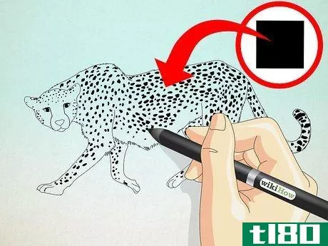 Image titled Draw a Cheetah Step 12