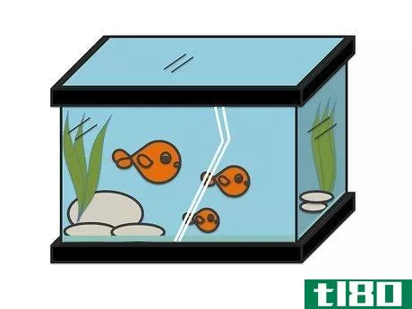 Image titled Draw Fish in a Fish Tank Step 6