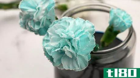 Image titled Dye Carnations Step 5