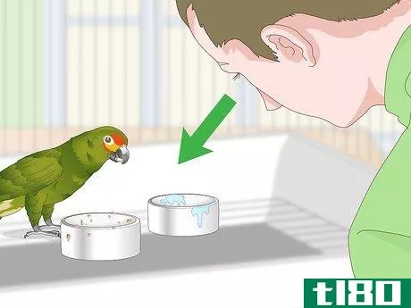 Image titled Feed an Amazon Parrot Step 11