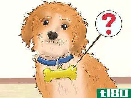 Image titled Find Unique Dog Names Step 1