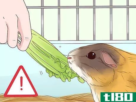 Image titled Feed a Guinea Pig Step 8