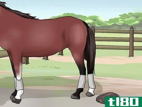 Image titled Feed a Starving Horse Step 15