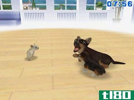 Image titled Earn Money and Trainer Points in Nintendogs Step 1