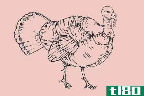 Image titled Draw a Turkey Step 22