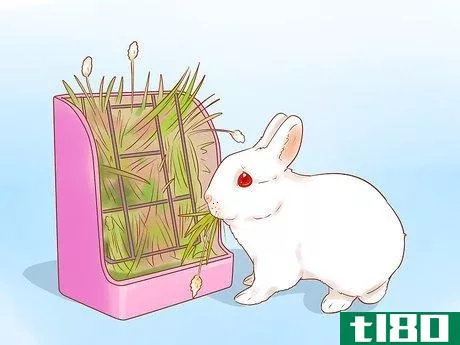 Image titled Feed Your Rabbit with Pellets Step 14