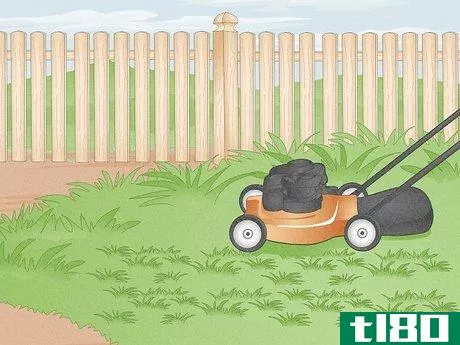 Image titled Edge a Lawn with String Trimmer Step 1