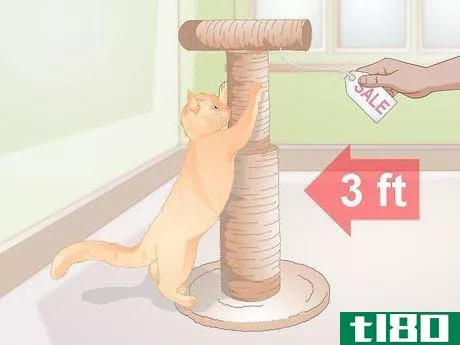 Image titled Find Alternatives to De Clawing Your Cat Step 1