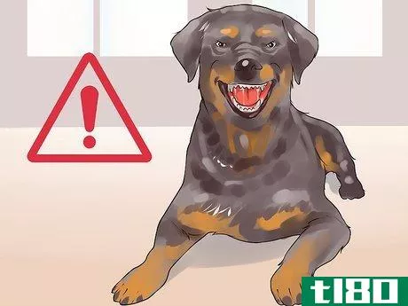 Image titled Gain Trust in an Aggressive Dog Step 18