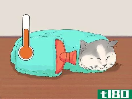 Image titled Diagnose and Treat Frostbite in Cats Step 6
