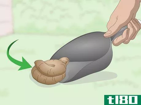 Image titled Dispose of Dog Poop Step 1