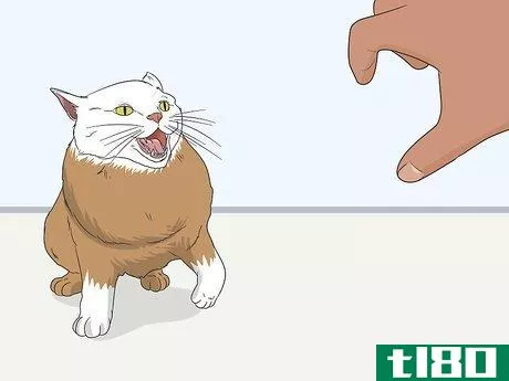 Image titled Gain a Cat's Trust Step 13