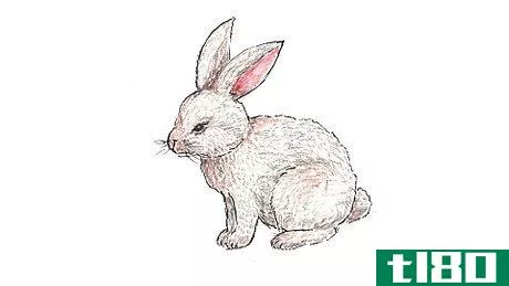 Image titled Draw a Bunny Step 6
