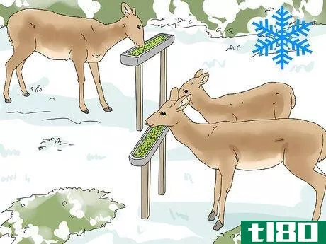 Image titled Feed Deer Step 6