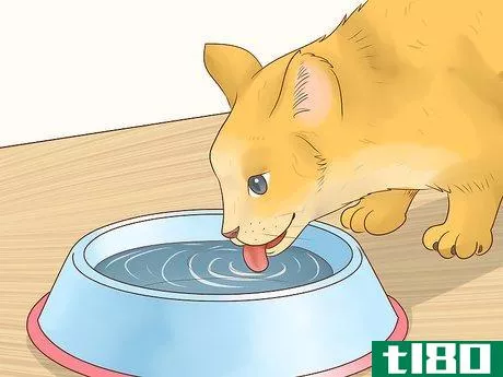 Image titled Feed a Feline Cancer Patient Step 6