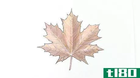 Image titled Draw a Maple Leaf Step 10