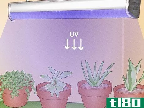 Image titled Do LED Grow Lights Emit UV Rays Step 1