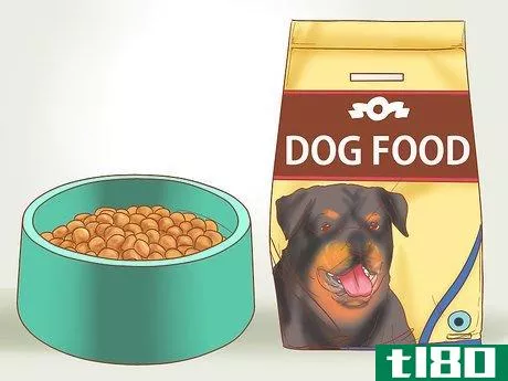 Image titled Take Care of Your Dog's Basic Needs Step 1
