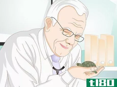 Image titled Feed Your Turtle if It is Refusing to Eat Step 10