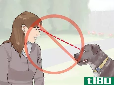Image titled Gain Trust in an Aggressive Dog Step 3
