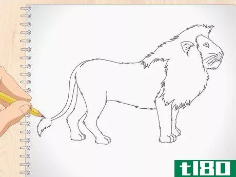 Image titled Draw a Lion Step 10