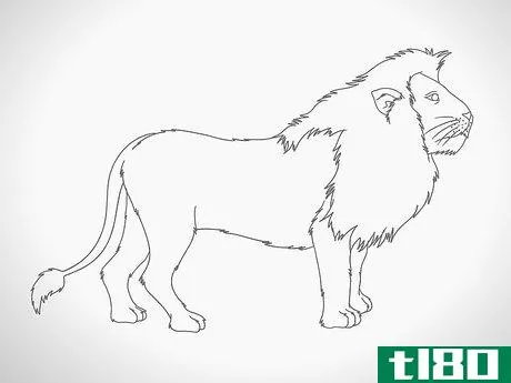 Image titled Draw a Lion Step 11
