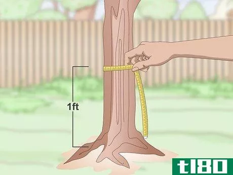 Image titled Fertilize Trees Step 11