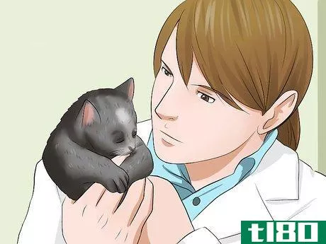 Image titled Detect Kitten URI or Pneumonia Step 6