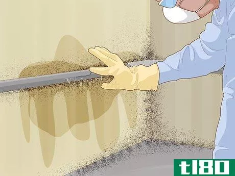 Image titled Eliminate Musty Basement Odor Step 12