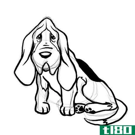 Image titled Basset hound outline Step 6