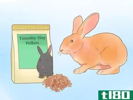 Image titled Feed Your Rabbit with Pellets Step 2