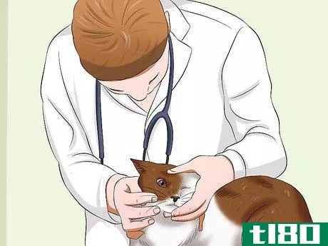 Image titled Diagnose Conjunctivitis in Cats Step 6
