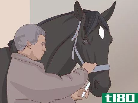 Image titled Diagnose Cushing's Disease in Horses Step 11