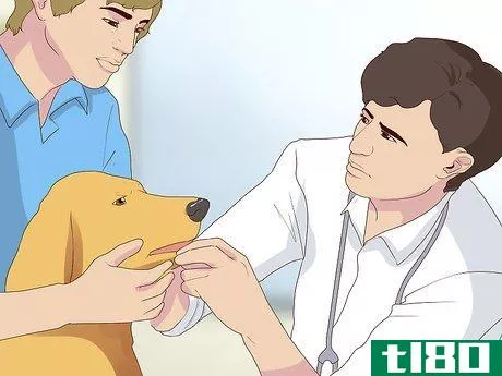 Image titled Diagnose Coughing in Dogs Step 8