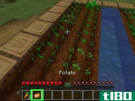 Image titled Find Food in Minecraft Step 2